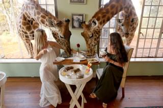 1 A  Giraffe  Manor  Dining 171026 213633