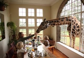 Giraffe  Manor Family Breakfast