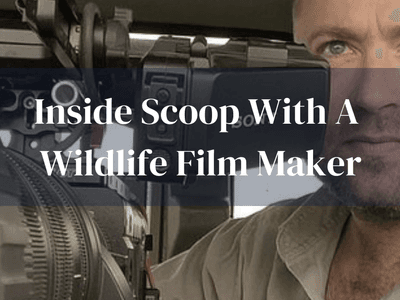 Nick Ball Wildlife Film Maker