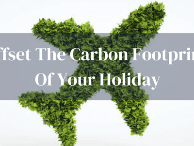 Offset Holiday Carbon Footprint