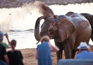 Okaukuejo Camp Safari