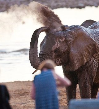 Okaukuejo Camp Safari Okaukuejo Camp Safari