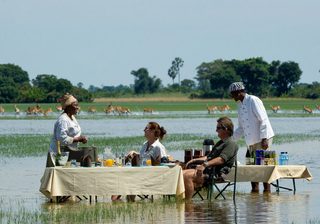 Jao Camp Picnic In The Swamp Jao Camp Picnic In The Swamp