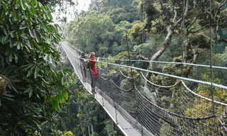 P1220301 1920X864 P1220301 1920X864