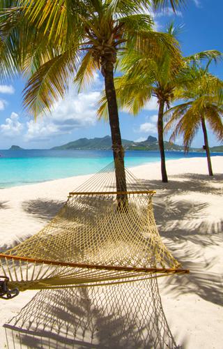 Hammock on the beach Palm Tree Island St Vincent and the Grenadines