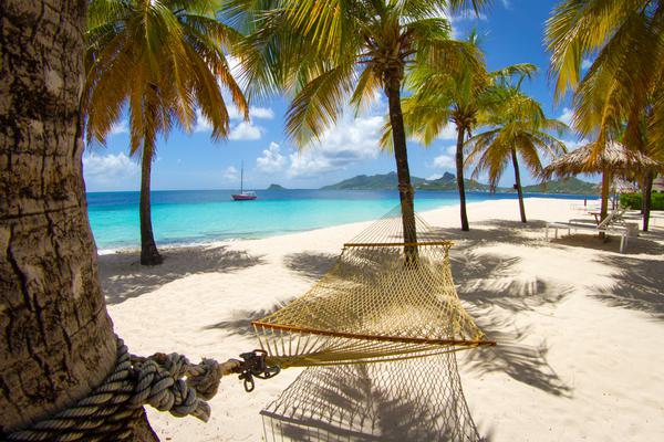 Hammock on the beach Palm Tree Island St Vincent and the Grenadines Hammock on the beach Palm Tree Island St Vincent and the Grenadines