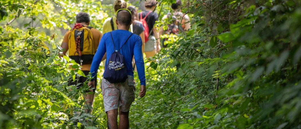 People walking in the florest canva pro