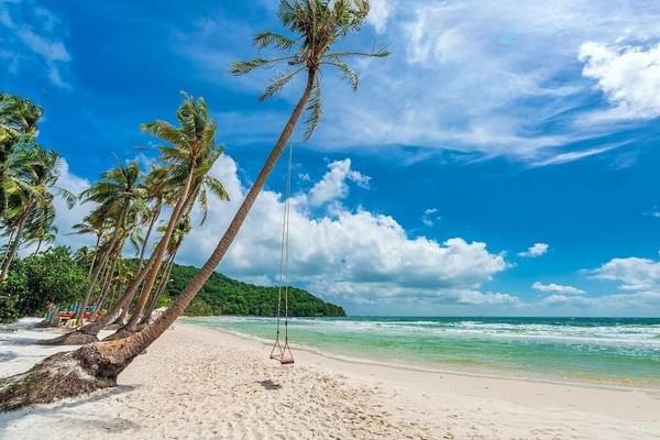 Beach with swing phu quoc viator Beach with swing phu quoc viator