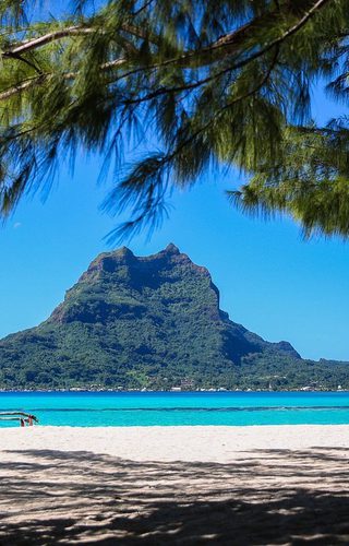 BOB Authentic Shark Lagoon Safari 30 Bora Bora