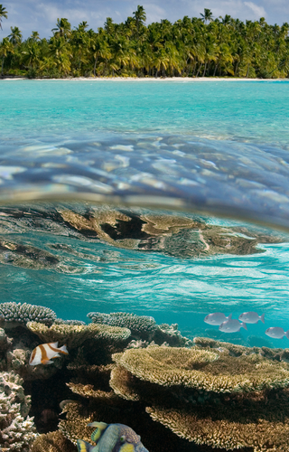 Aitutaki Lagoon Cook Islands South Pacific