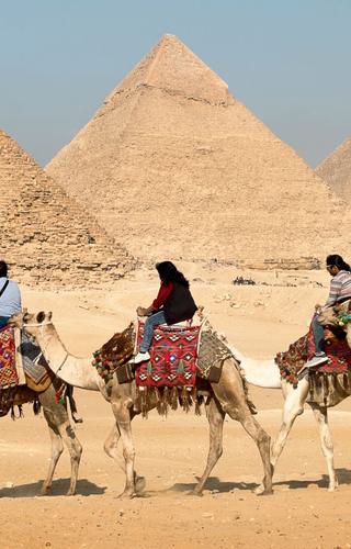 Four People Riding on Camels Across the Pyramids canva pro