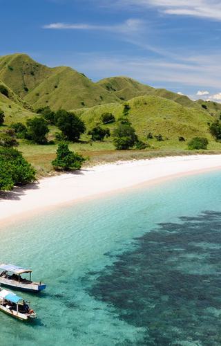 Indonesia Canva Pro