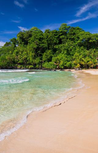 The popular Red frog beach on Basimentos Island Bocas del Toro Panama canva Pro