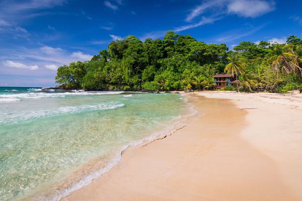 The popular Red frog beach on Basimentos Island Bocas del Toro Panama canva Pro The popular Red frog beach on Basimentos Island Bocas del Toro Panama canva Pro