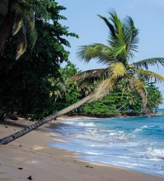 Praia  Inhame  Eco  Lodge  Beach  Palm