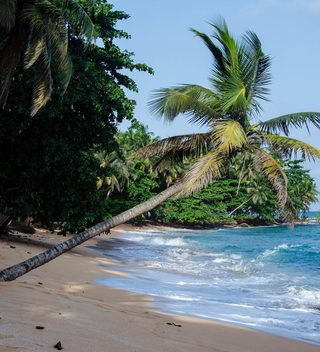 Praia  Inhame  Eco  Lodge  Beach  Palm Praia  Inhame  Eco  Lodge  Beach  Palm