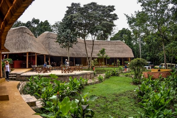 Primate Lodge Front View Primate Lodge Front View