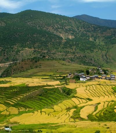 Punakha valley Bhutan