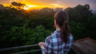 Peru Amazonas Refugio Canopy tower 1200x675