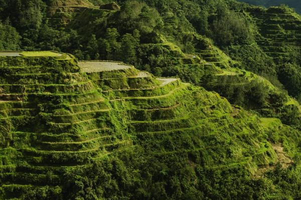 Rice terraces baneu philippines pexels Rice terraces baneu philippines pexels