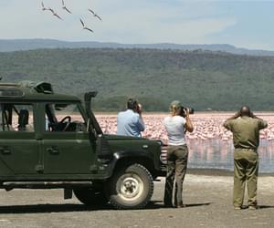 Loldia House Flamingo Safari