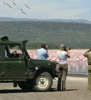 Loldia  House Flamingo Safari