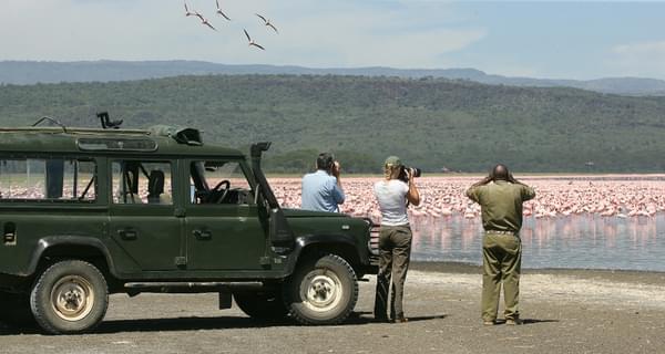 Loldia House Flamingo Safari