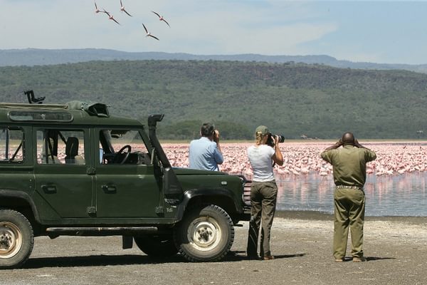 Loldia House Flamingo Safari Loldia House Flamingo Safari