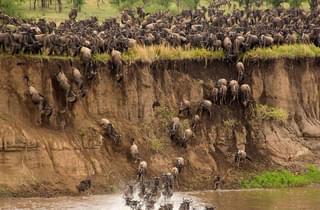 River Crossing In The Northern Serengeti