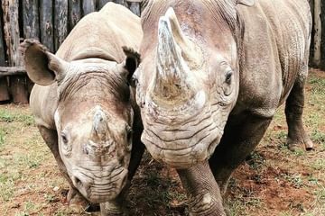 Akagera National Park African Parks Akagera National Park African Parks