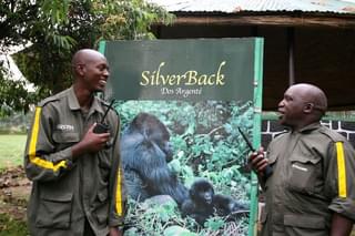 Gorilla Briefing Edward Francois Xa African Safaris