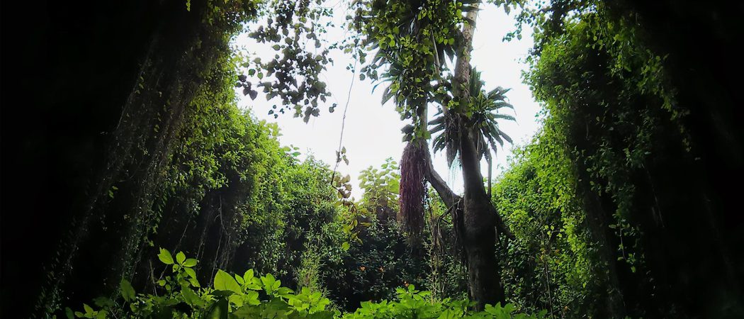 Musanze  Caves  Prime  Uganda  Safaris