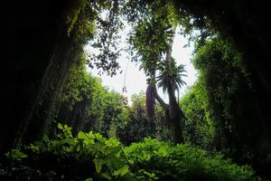 Musanze Caves Prime Uganda Safaris Musanze Caves Prime Uganda Safaris