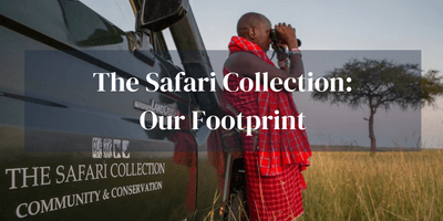 Safari Collection Our Footprint