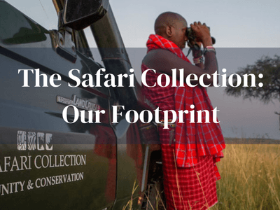 Safari Collection Our Footprint