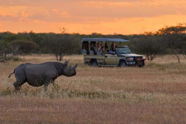 Etosha Heights Sunset game drive 2 Etosha Heights Sunset game drive 2