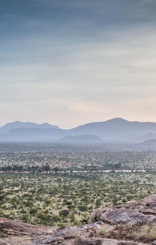 Safari Collection  Copyright Scott Ramsay 3121