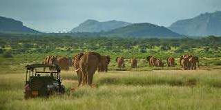 Samburu National Reserve