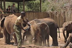 Reteti Elephant Sanctuary, Sarara, Kenya