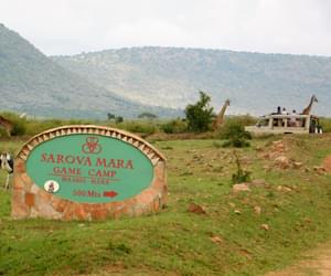 Sarova Mara Camp