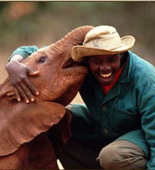 Sheldricktrust 11 Sheldricktrust 11