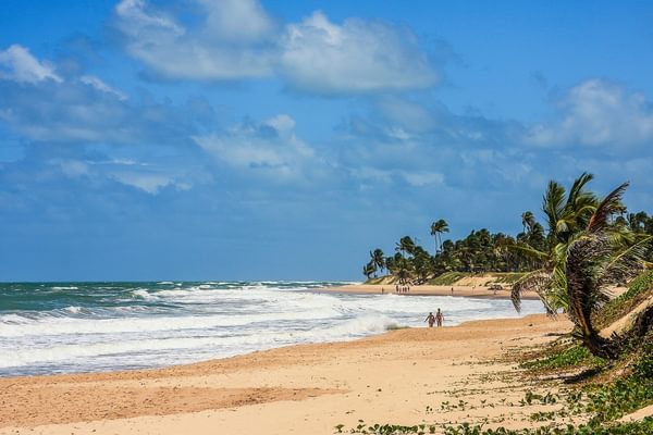 Brazil beach Brazil beach