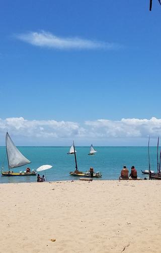 Northeast coast brazil beach