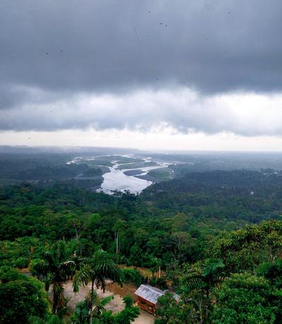 Ecuador Puyo Amazon