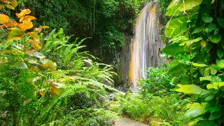 Spectacular diamond falls of soufriere st lucia Canva Pro Spectacular diamond falls of soufriere st lucia Canva Pro