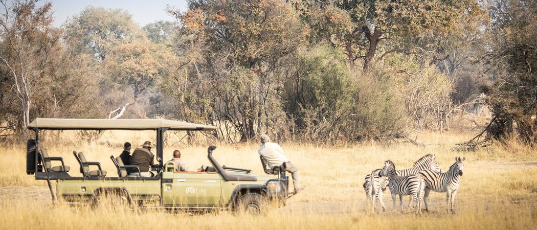 Splash 31 Game Drive Botswana
