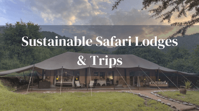 Sustainable Lodges And Trips