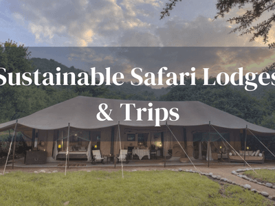 Sustainable Lodges And Trips