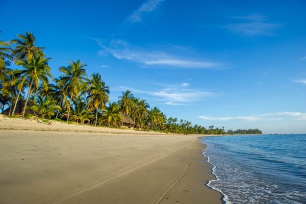 The  Tides  Lodge  Beach The  Tides  Lodge  Beach