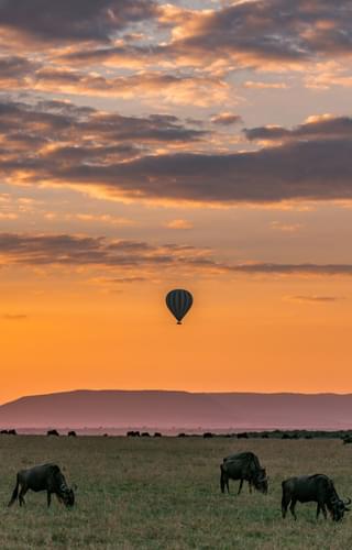 Balloon over the Serengeti Tanzania Wildebeest